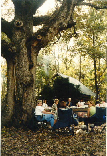 Sitting under the Hog Killin' Tree