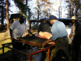 The Roasting Team Preparing the Pig