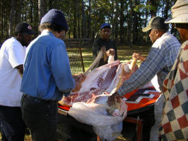 The Roasting Team Preparing the Pig
