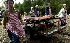 Pork Procession, Photo by Tammy McKinie