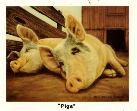 Print of "Pigs"