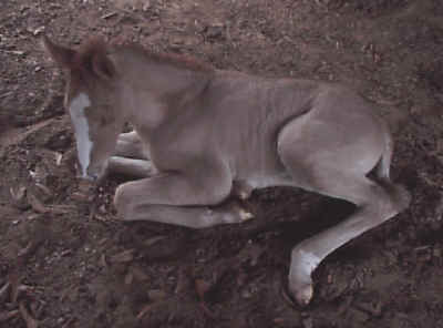 Born - February 20, 2001