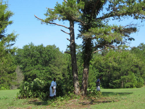 June 29, 2011 - The crew attacks the old well area!