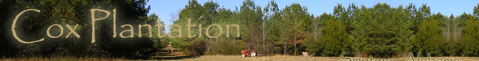 Cox Plantation, Smuteye, Alabama