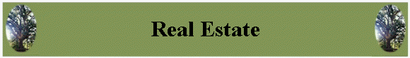 Real Estate